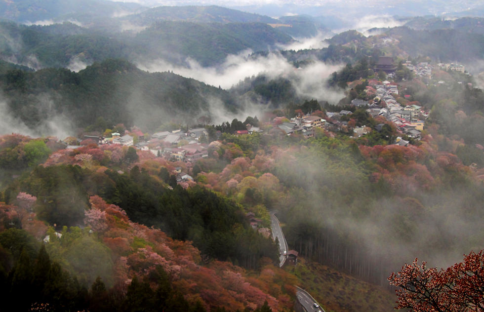 柿の葉ずしのふるさと大和五條。