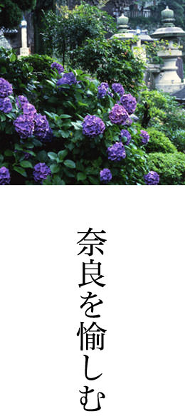 奈良を「楽しむ」