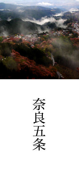 大和五條について