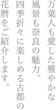 万葉人も愛した雅やかな風景も奈良の魅力。四季折々に楽しめる古都の花暦をご紹介します。