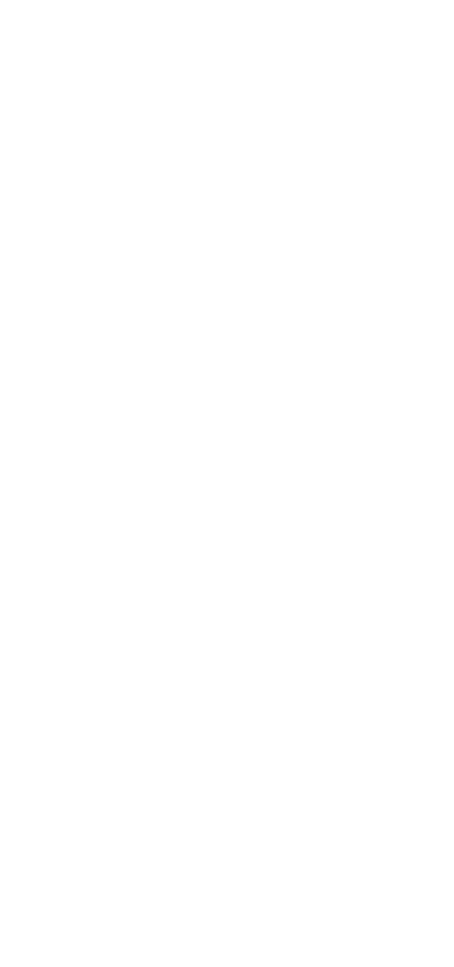 棒ずし