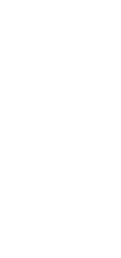柿の葉ずし　さば