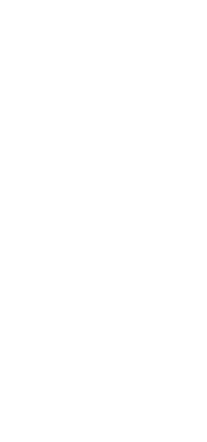 柿の葉ずし　さけ