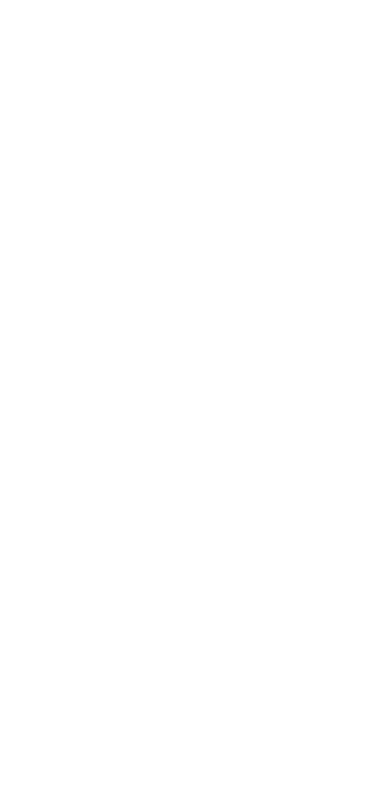 柿の葉ずし　さば・さけ詰め合わせ