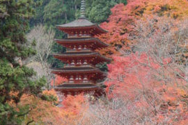 桜井店 最寄りの見所-1