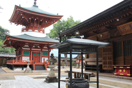 橋本店　夢宗庵 最寄りの見所-1
