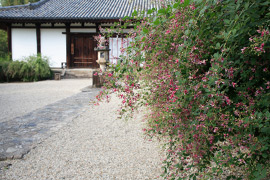奈良宝来店 最寄りの見所-5
