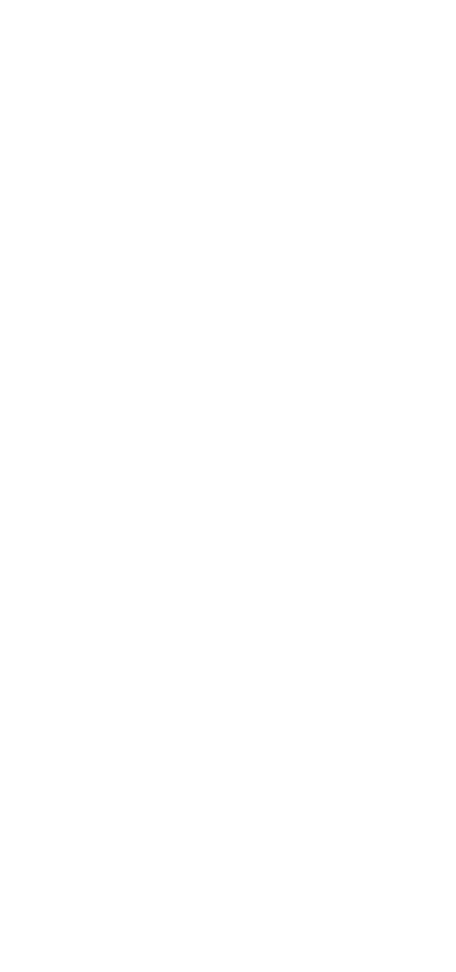 柿の葉ずし　さば・さけ詰め合わせ