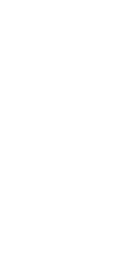 柿の葉ずし　さば
