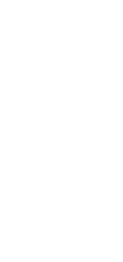柿の葉ずし　さけ