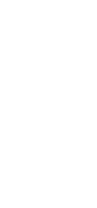 棒ずし