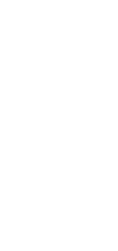 棒ずし